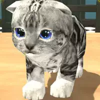 Katzenspiele